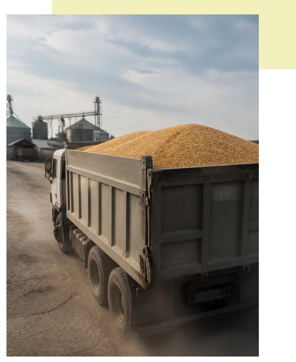 Перевозка сельхозпродукции навалом в Карабулак по цене от 3099 р. | Агросервис-Крб